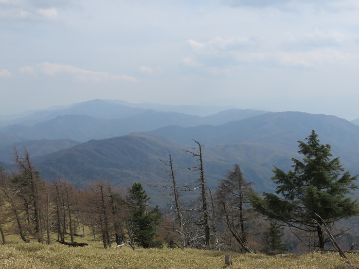 古礼山からの景色