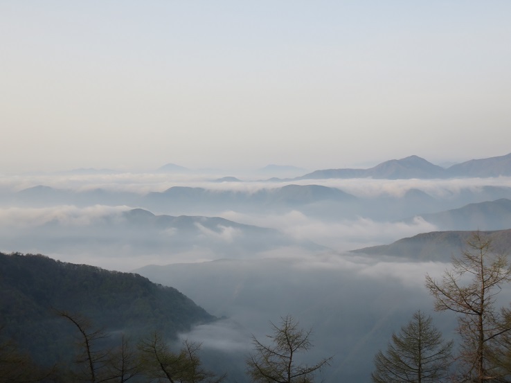 奥秩父主脈雲海