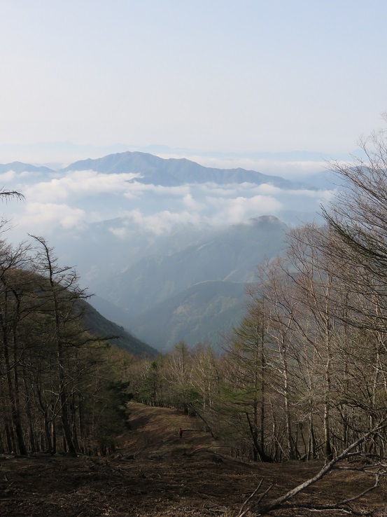 高丸山から日陰名栗山