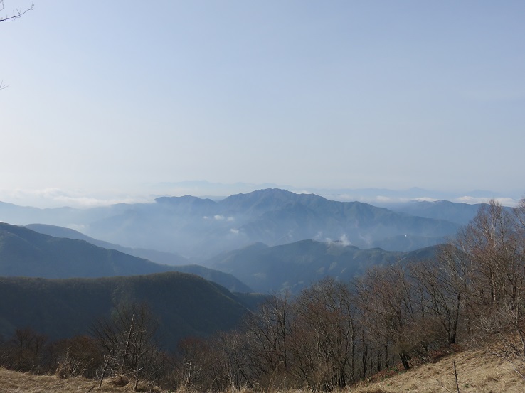 日陰名栗山から鷹ノ巣山