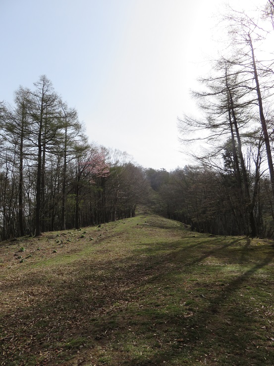 鷹ノ巣山へと続く急坂