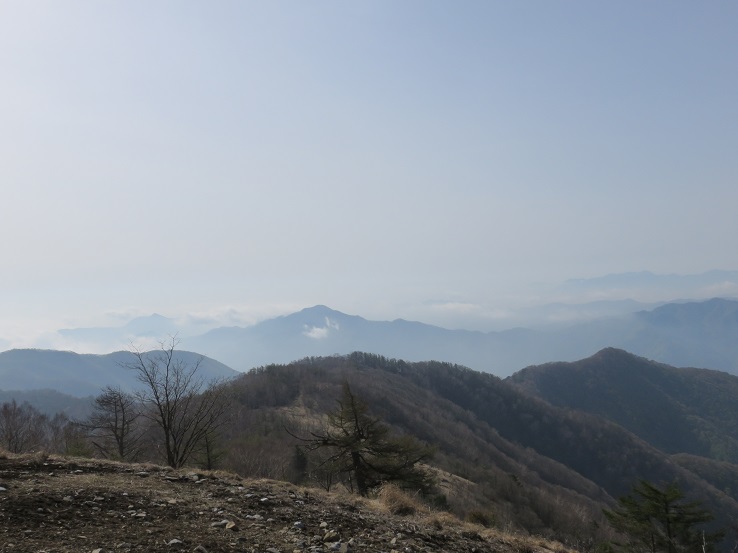 鷹ノ巣山の山頂景色