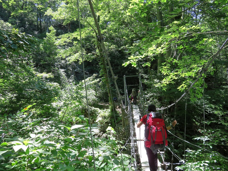 大鳥小屋までのコース吊橋
