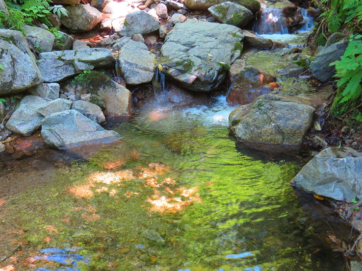 朝日連峰の水の美しさ