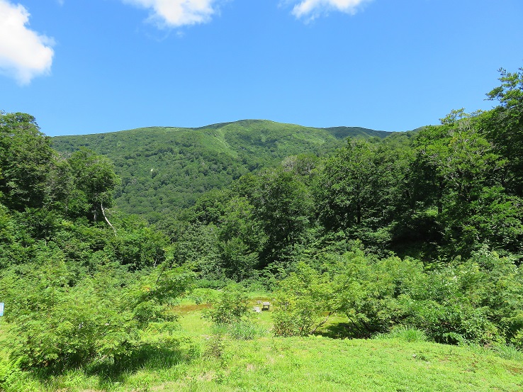 大鳥小屋のテント場
