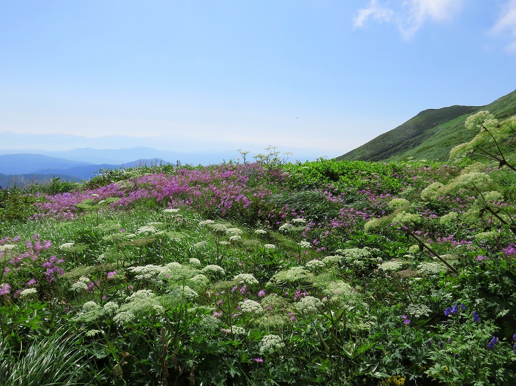 大朝日岳の土