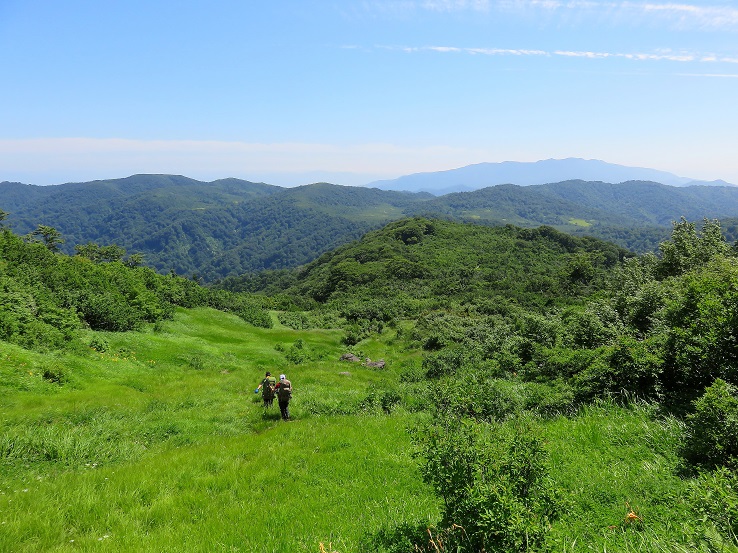 念仏ヶ原避難小屋への登山道の様子