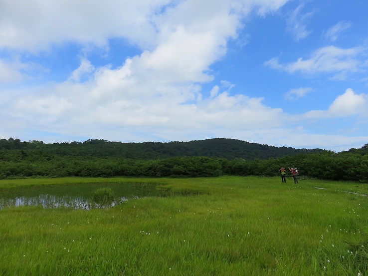 念仏ヶ原の池塘