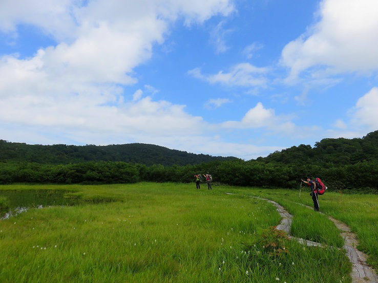 念仏ヶ原避難小屋まで湿原歩き