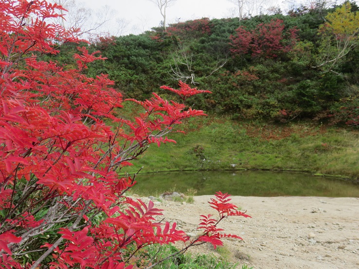 西遠見山にある池塘