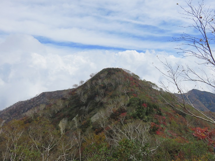 中遠見山