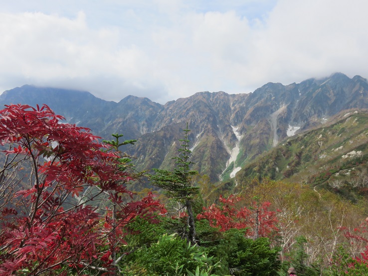 中遠見山からの鹿島槍ヶ岳方面