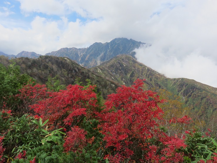 遠見尾根の紅葉