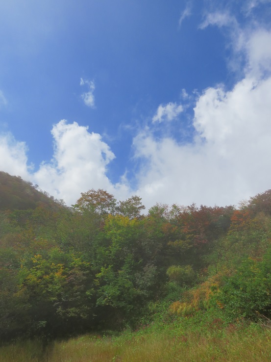 地蔵ノ頭付近モヤモヤ