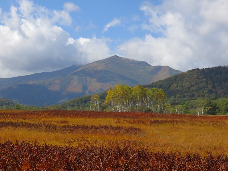 草紅葉と至仏山のコラボ景色