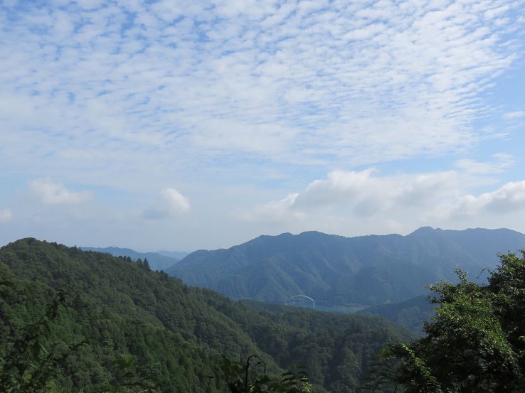 御殿森ヤマビル天国