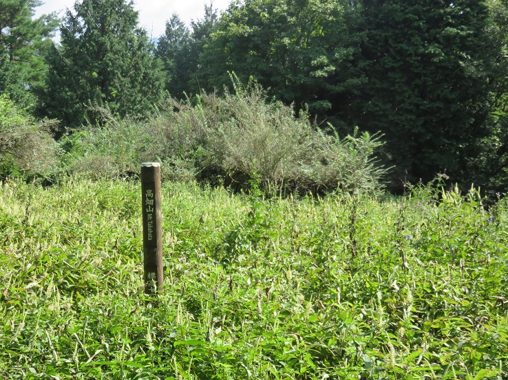 ヤマビル天国高畑山