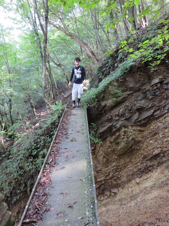 ヤマビルは出ません