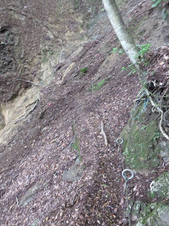 丹沢の登山道
