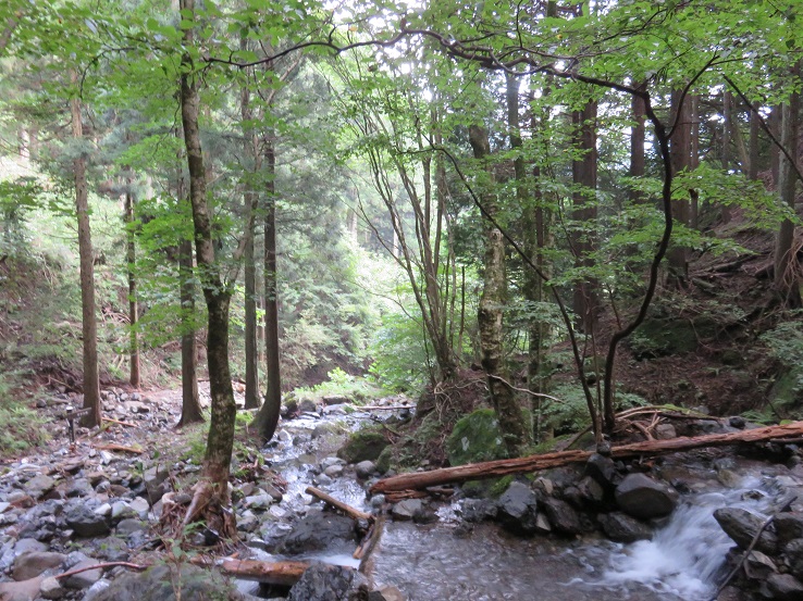 涼しくて爽やかヒル
