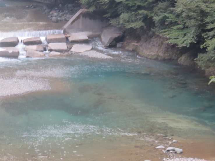 水がとても綺麗