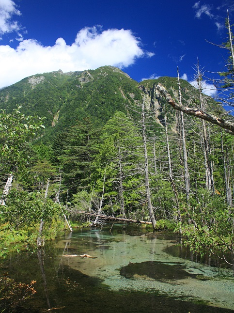 上高地は水が綺麗