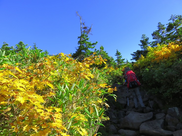 妙高山の紅葉