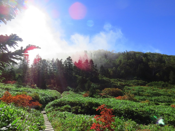 妙高山神秘的な景色