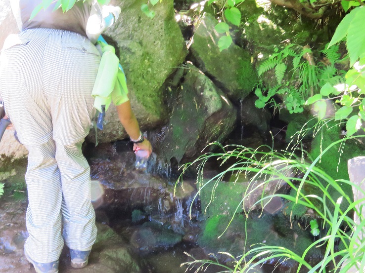 妙高山の水場