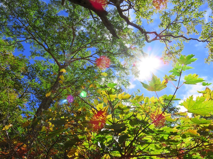 妙高山の紅葉が美しい