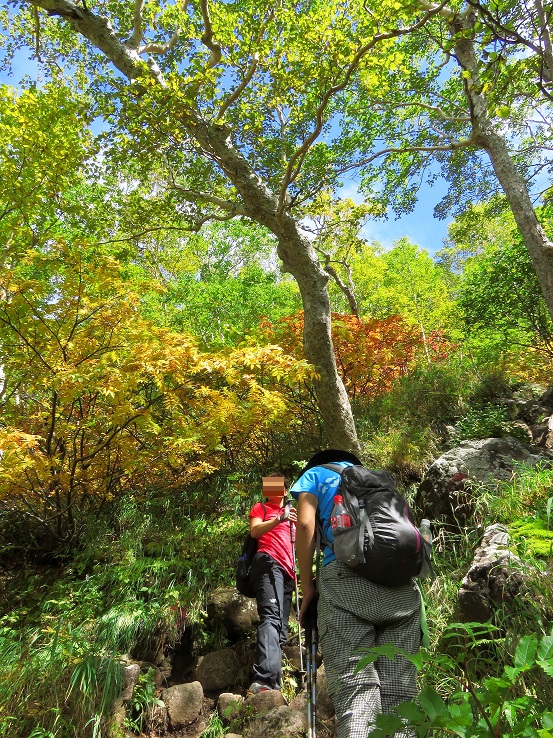 妙高山まで急登