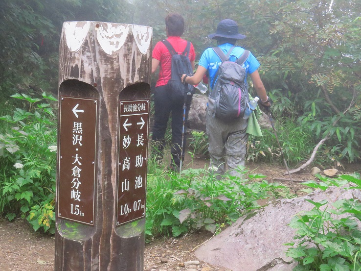 長助池分岐