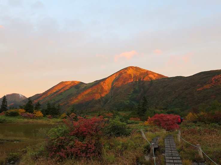 火打山登山道周辺も雰囲気が良い