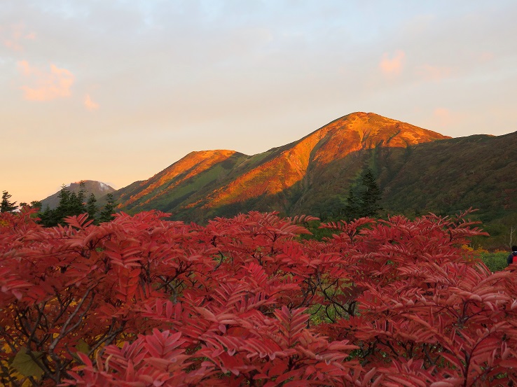 火打山・妙高山の紅葉はこの時期が旬