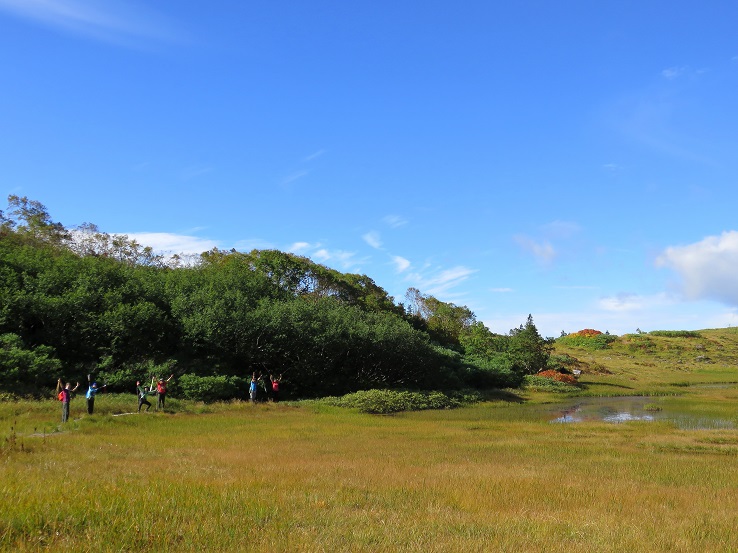 池塘景色