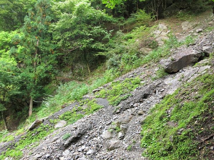 f:id:aohige0718:20161027223649j:plain 笊ヶ岳への登山道が崩壊の様子