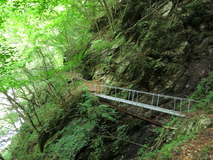 f:id:aohige0718:20161027224144j:plain 笊ヶ岳から広河原までの登山道