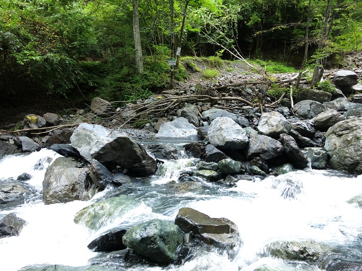 f:id:aohige0718:20161027224155j:plain 笊ヶ岳広河原の渡渉点