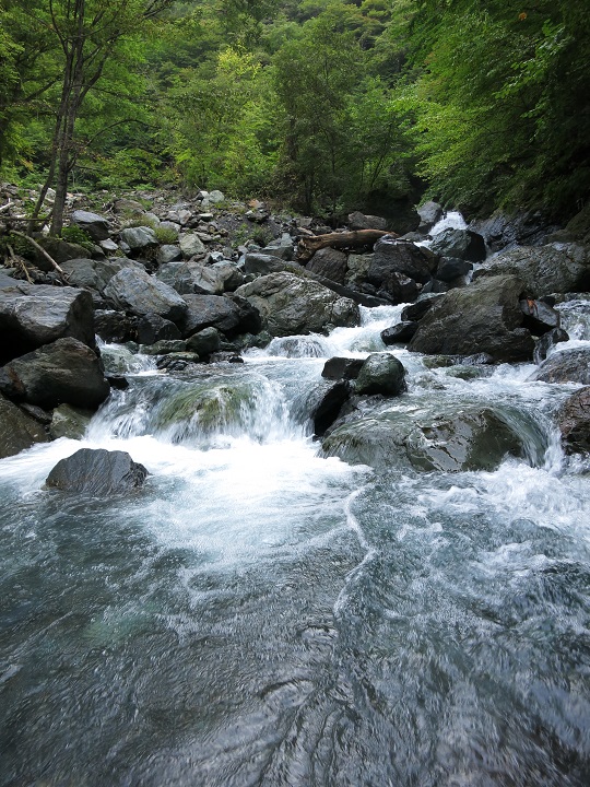 f:id:aohige0718:20161027224208j:plain 広河原の渡渉点を渡っている様子