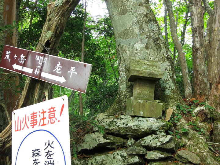 f:id:aohige0718:20161027224252j:plain 桧横手山・布引山までの登山ルートの様子