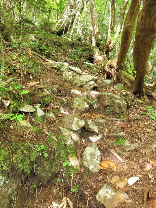 f:id:aohige0718:20161027224304j:plain 桧横手山の登山ルートの様子