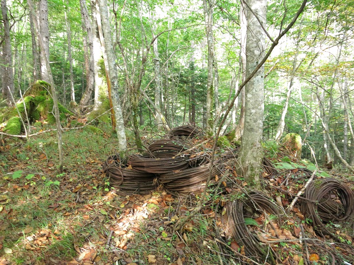 f:id:aohige0718:20161027224338j:plain 桧横手山の登山コース上のワイヤー