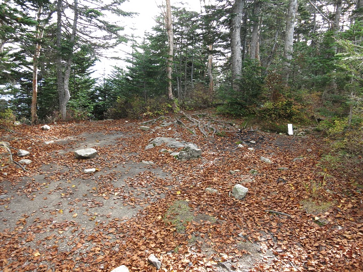 f:id:aohige0718:20161027224623j:plain 布引山の山頂のビバーク適地