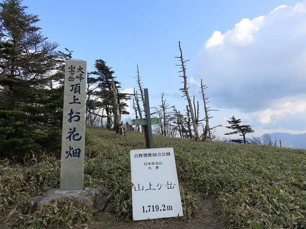 山上ヶ岳の山頂