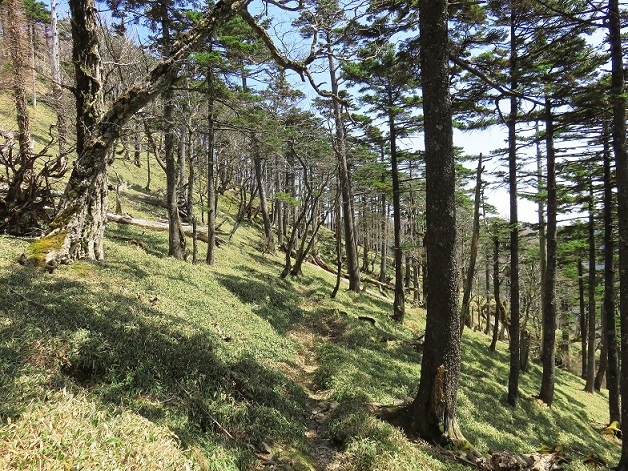 f:id:aohige0718:20161030223757j:plain 熊野古道大峯奥駈道登山ルート登山者少ない区間
