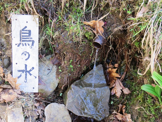 f:id:aohige0718:20161030223824j:plain 鳥の水の水場