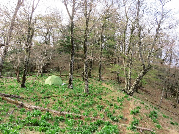 大峯奥駈道天狗岳周辺