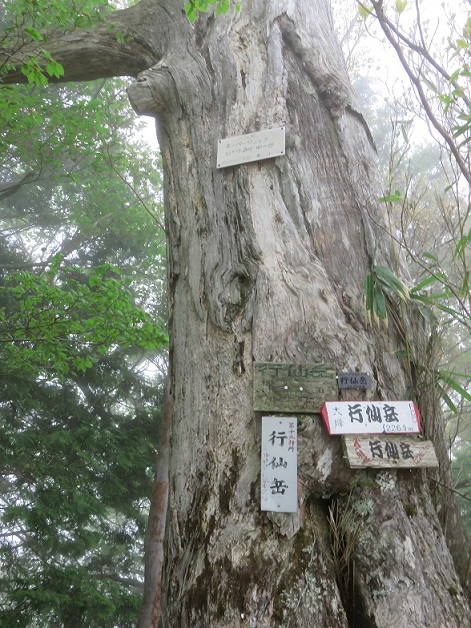 行仙岳山頂