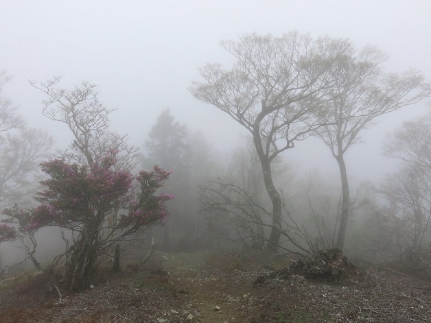 笠捨山登山ルート