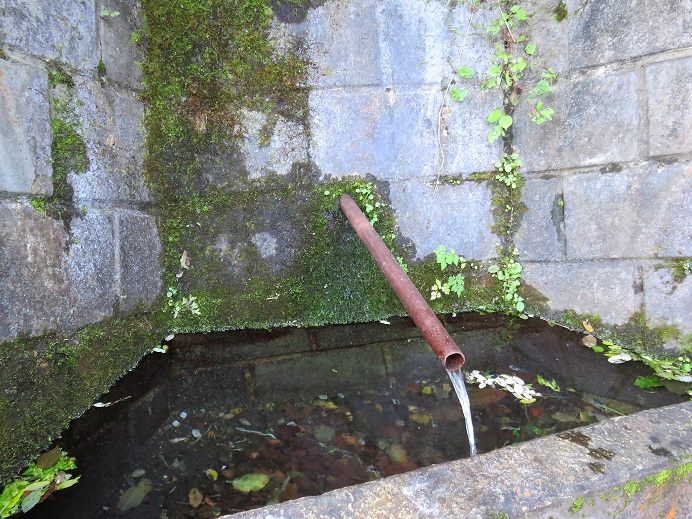 奥多摩周回道路の脇にある水場